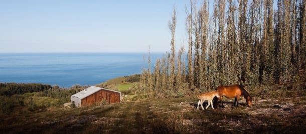 casa de hormigón y acero cerca del mar