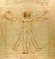 Hombre de Vitrubio - Leonardo da Vinci