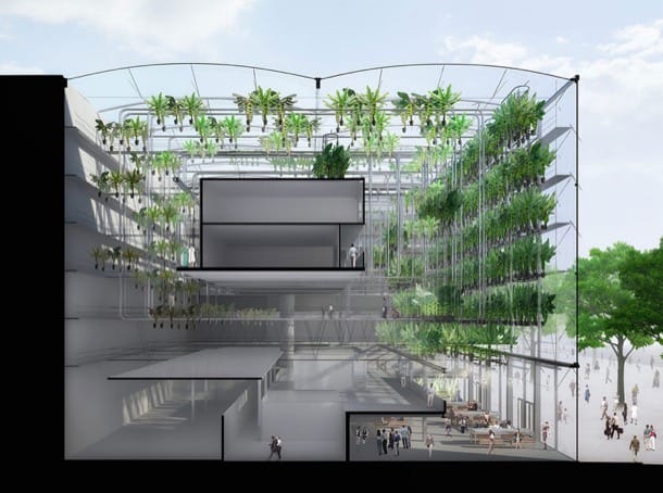 sección render concepto de granja Urbanana - Campos Elíseos París