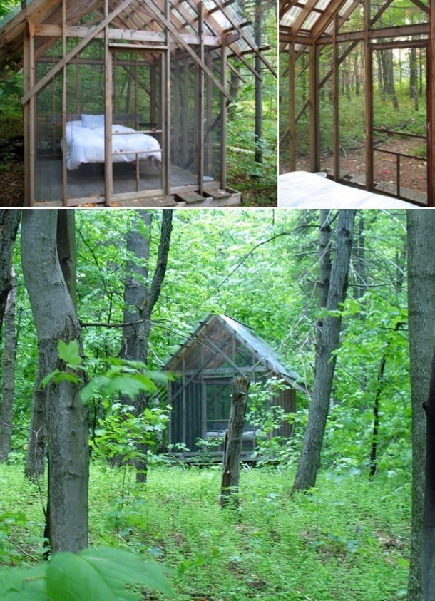 detalles del exterior e interior del refugio de madera Fern House