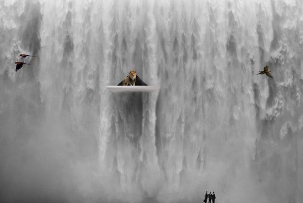 zoo vertical Eden Falls con cascada de agua