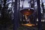 El platillo volante de TreeHotel (Suecia)