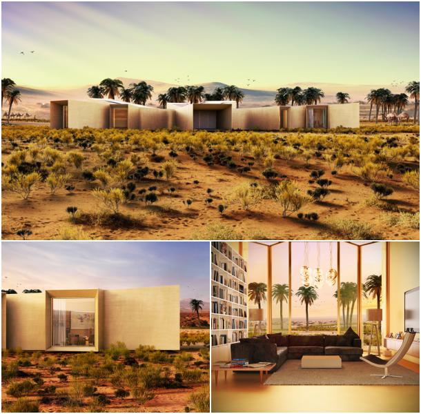 retiro ecológico desierto Liwa