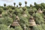 BAOBAB Luxury Safari Resort